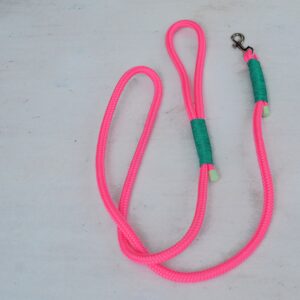 Führleine Hund „Aerobic Steffi“