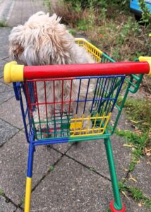  Sommerzeit ist Lieblingszeit! 15 % auf Alles